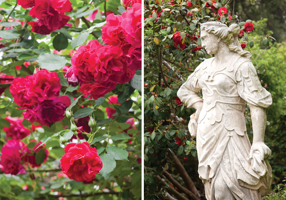 Imagine a garden that replicates the majesty of an illuminated manuscript or a Mary Cassatt portrait. Envision this and more at The Huntington. 