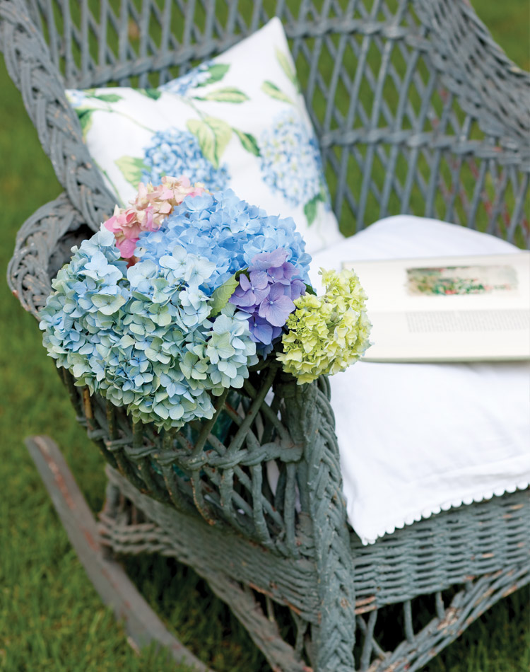 Widely acclaimed for their striking colors and showy blossoms, hydrangeas welcome summer with their signature billowy blooms. 