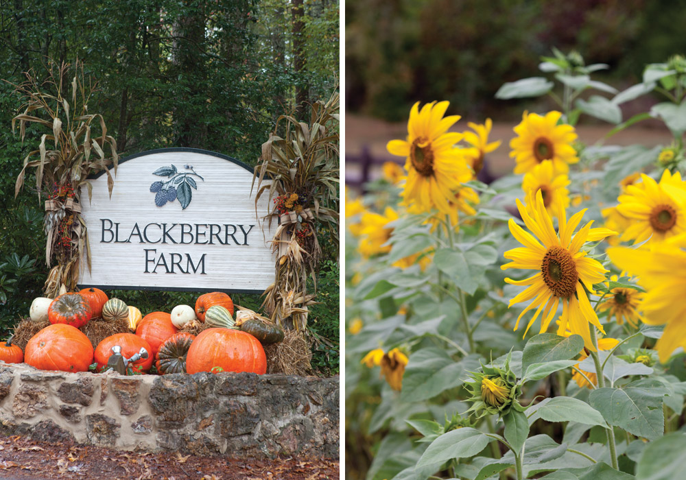 Blackberry Farm's idyllic setting.