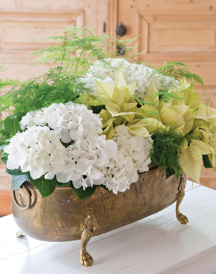 Holiday Blooms: Create a Living Centerpiece
