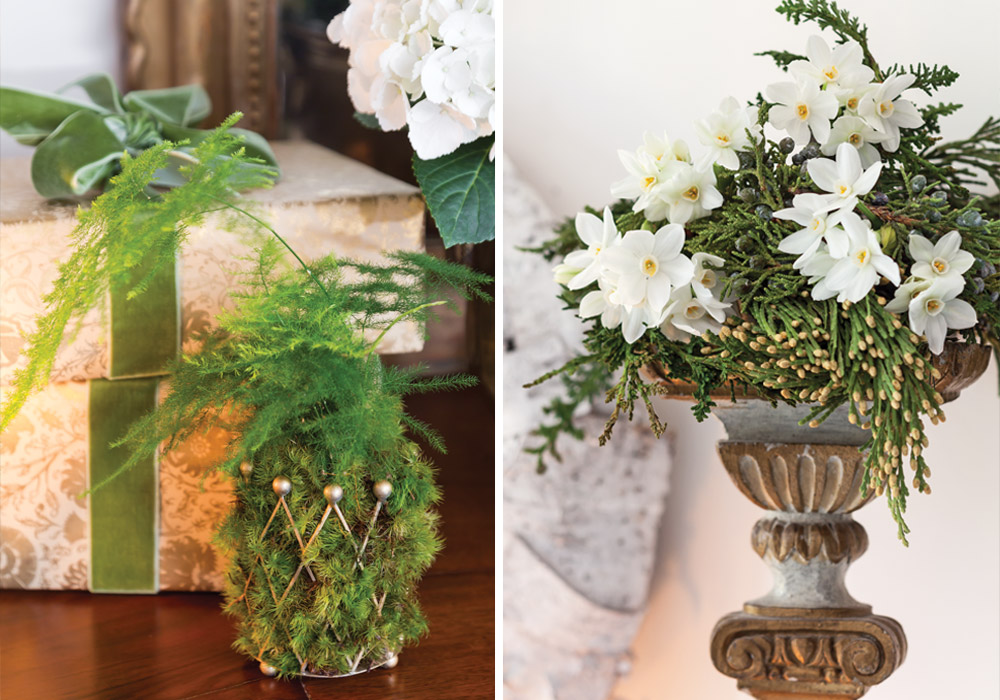 Holiday Blooms: Create a Living Centerpiece