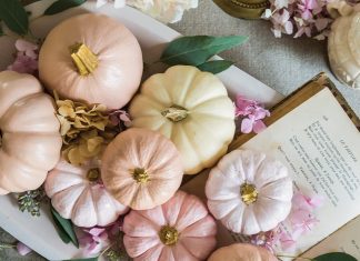 Viewed from above, a tray full of pale pink pumpkins graces the tabletop.