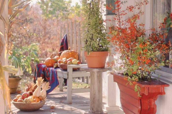 autumn porch