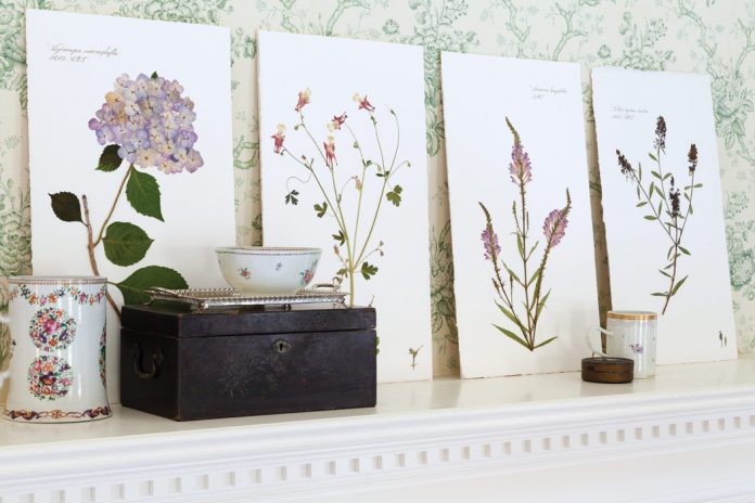 Blackwell Botanicals prints make a good Mother's Day gift.