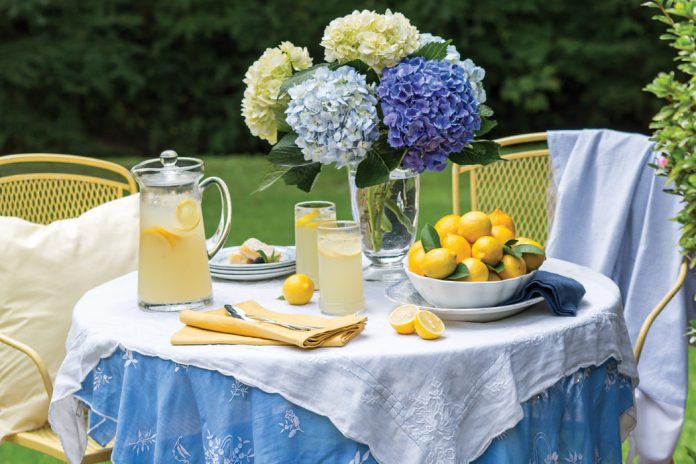 Sipping a perfectly sweetened glass of lemonade beneath a canopy of trees just might be the quintessential expression of summertime leisure. And with flavorful varieties from which to choose, the enjoyment can last all season long.