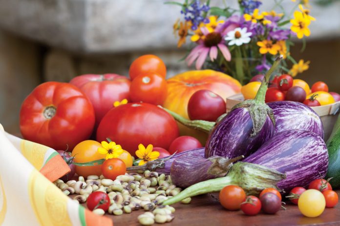 Celebrate the garden harvest in a tangled toss of color bursting with earthy goodness. Entwined in a mix of savory, tender pastas laced with fragrant herbs and plump vegetables, these tasty meals capture the ripe extravagance of the season.