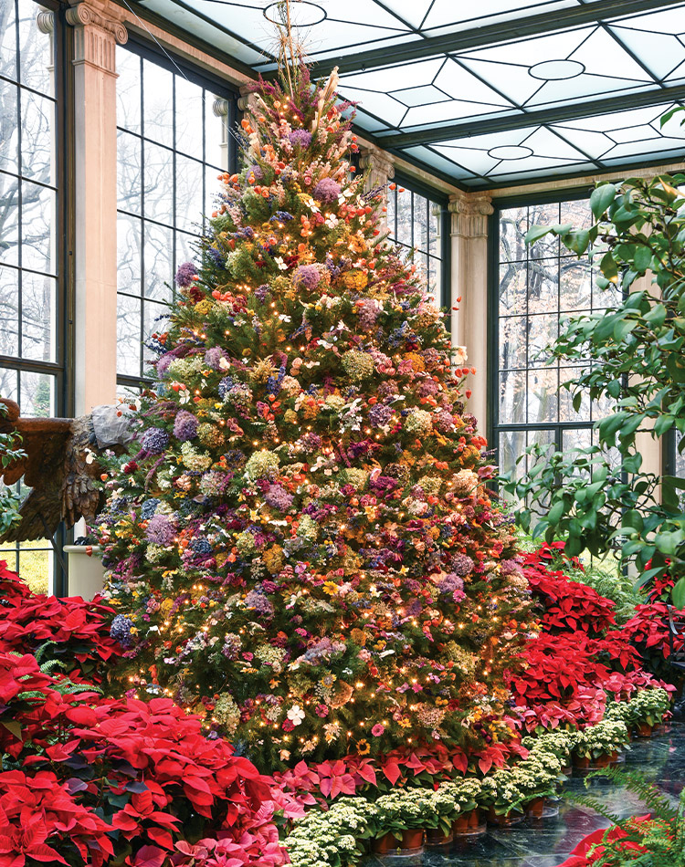 Set in a greenhouse before a path lined with poinsettias, this evergreen is covered entirely with dried flowers in a range of hues.